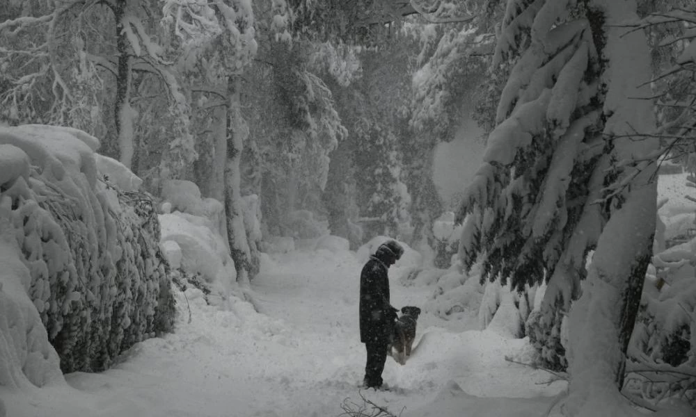 ΓΕΕΘΑ: Συνδρομή μέσων και προσωπικού του στρατού για την αποκατάσταση ζημιών στο Διόνυσο!